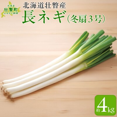 ＜2026年12月20日頃よりお届け＞長ネギ(冬扇3号)約4kg  SBTP012