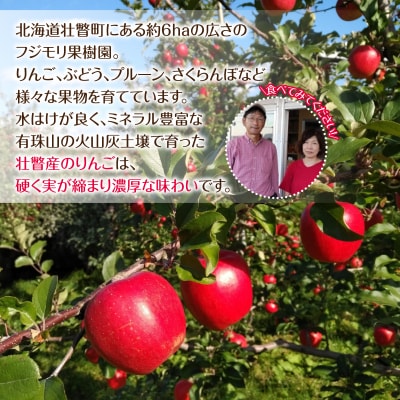 <2026年12月上旬よりお届け>壮瞥町産りんご 「サンふじ」12～18玉約5kg  SBTF007