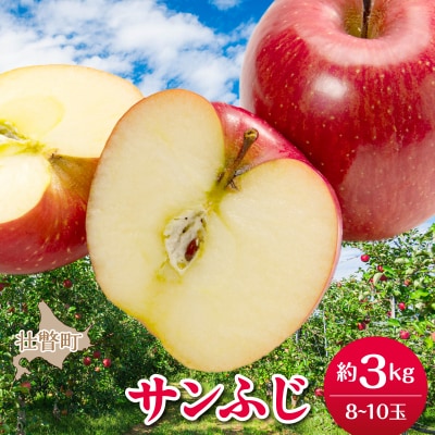 <2026年12月上旬よりお届け>壮瞥町産りんご 「サンふじ」8～10玉約3kg  SBTF006