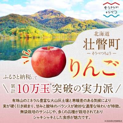<2026年12月上旬よりお届け>壮瞥町産りんご 「サンふじ」8～10玉約3kg  SBTF006