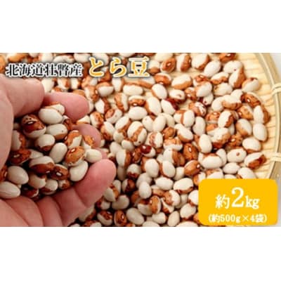 <2025年11月中旬よりお届け>壮瞥町産 とら豆 約2kg(約500g×4袋)SBTA039