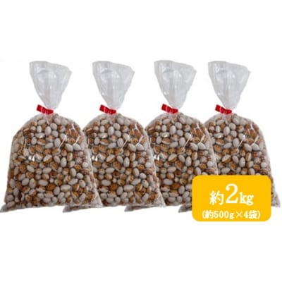 <2025年11月中旬よりお届け>壮瞥町産 とら豆 約2kg(約500g×4袋)SBTA039