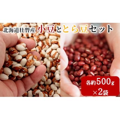 <2025年11月中旬よりお届け>壮瞥町産 小豆・とら豆セット 各約500g×2袋 SBTA042