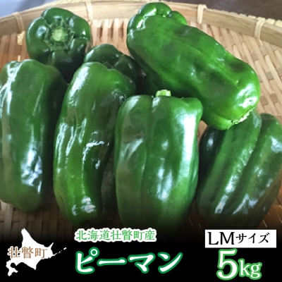 <2026年7月下旬よりお届け>壮瞥町産 ピーマン 約5kg  SBTL014