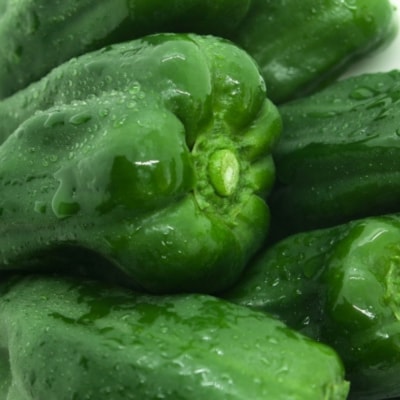 <2026年7月下旬よりお届け>壮瞥町産 ピーマン 約5kg  SBTL014