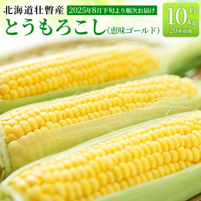 <2025年8月下旬より順次お届け>壮瞥町産とうもろこし(恵味ゴールド)約10kg  SBTA032