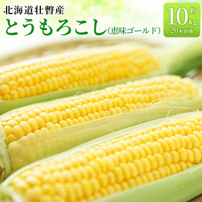 <2026年8月上旬より順次お届け>壮瞥町産とうもろこし(恵味ゴールド)約10kg  SBTA032