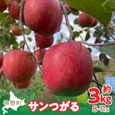 <2025年9月下旬からお届け> 壮瞥町産りんご 「サンつがる」8～11玉約3kg SBTF001