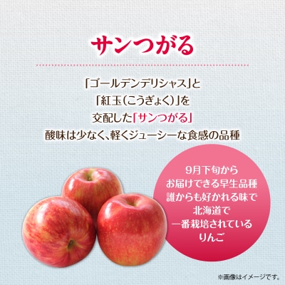 <2026年9月下旬からお届け> 壮瞥町産りんご 「サンつがる」8～11玉約3kg SBTF001