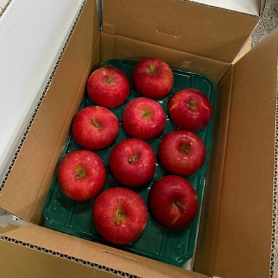 <2025年10月中旬よりお届け> 壮瞥町産りんご 「早生ふじ」8～10玉約3kg SBTF002