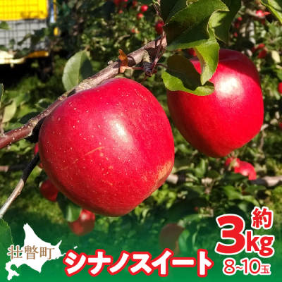 ＜2025年10月下旬お届け＞ 壮瞥町産りんご 「シナノスイート」8～10玉約3kg SBTF003