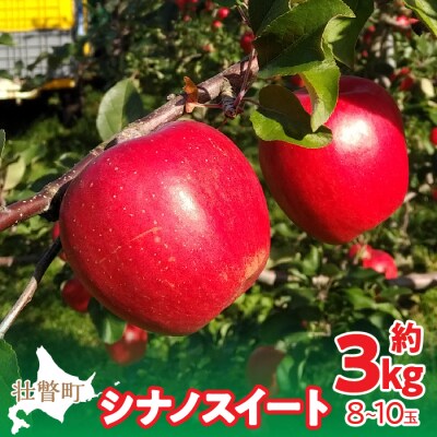 <2026年10月下旬お届け> 壮瞥町産りんご 「シナノスイート」8～10玉約3kg SBTF003