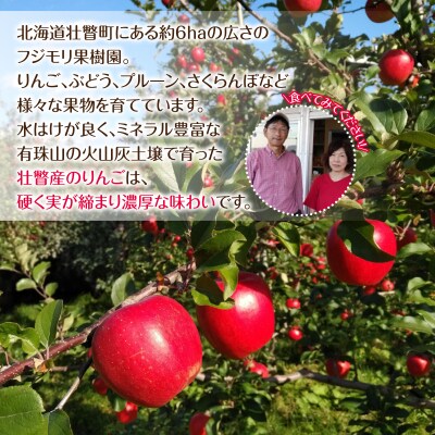<2026年10月下旬お届け> 壮瞥町産りんご 「シナノスイート」8～10玉約3kg SBTF003