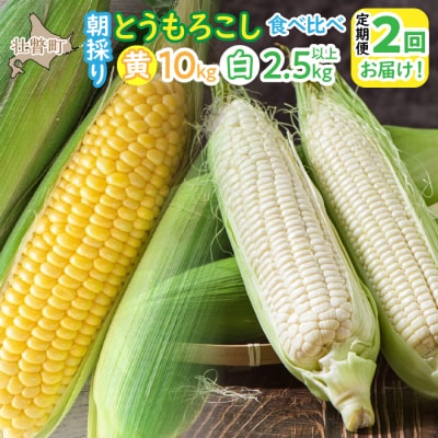 <定期便 8月上旬・8月下旬朝採り>壮瞥町産 とうもろこし黄・白 食べ比べ SBTP011
