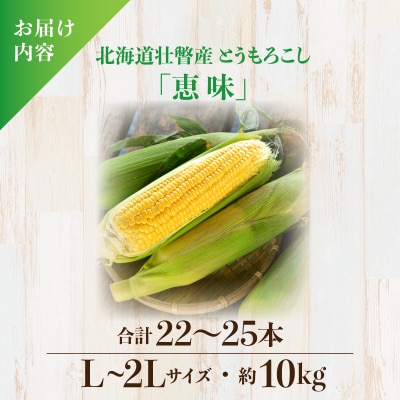 <定期便 8月上旬・8月下旬朝採り>壮瞥町産 とうもろこし黄・白 食べ比べ SBTP011
