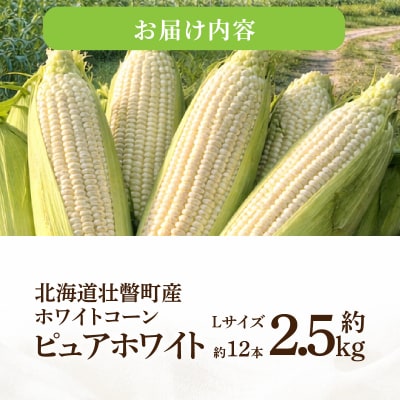 <定期便 8月上旬・8月下旬朝採り>壮瞥町産 とうもろこし黄・白 食べ比べ SBTP011