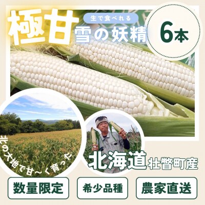 <2026年8月下旬よりお届け>白いとうもろこし『雪の妖精』 6本(約2kg)  SBTQ005