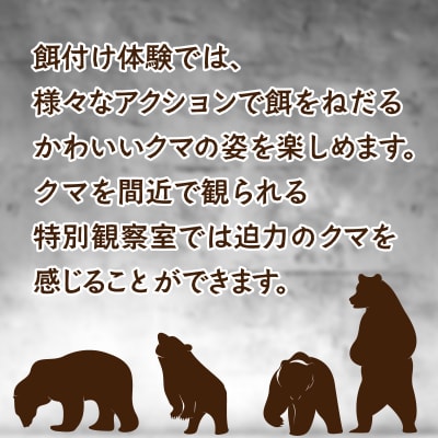 昭和新山熊牧場入場券4枚 SBTZ001