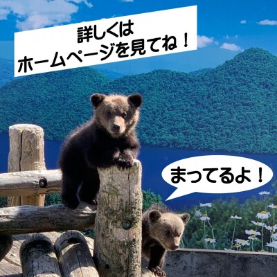 昭和新山熊牧場入場券4枚 SBTZ001