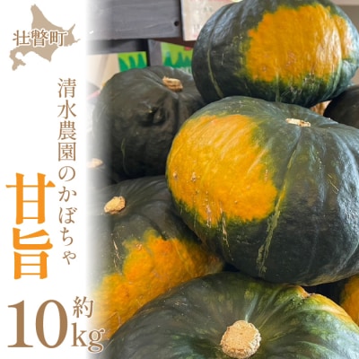 <2026年9月初旬よりお届け>清水農園のかぼちゃ『甘旨』約10kg (4～6玉)  SBTO013