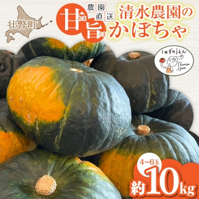<2026年9月初旬よりお届け>清水農園のかぼちゃ『甘旨』約10kg (4～6玉)  SBTO013