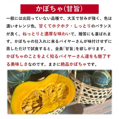 <2026年9月初旬よりお届け>清水農園のかぼちゃ『甘旨』約10kg (4～6玉)  SBTO013