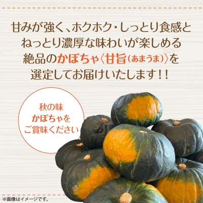 <2026年9月初旬よりお届け>清水農園のかぼちゃ『甘旨』約10kg (4～6玉)  SBTO013