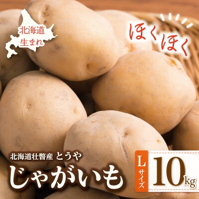 <2026年9月下旬よりお届け>北海道壮瞥町産じゃがいも(とうや)Lサイズ10kg SBTN005