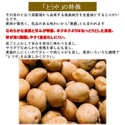 <2026年9月下旬よりお届け>北海道壮瞥町産じゃがいも(とうや)Lサイズ10kg SBTN005