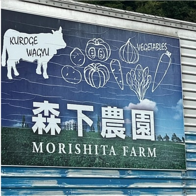 <2026年9月下旬よりお届け>北海道壮瞥町産じゃがいも(とうや)Lサイズ10kg SBTN005