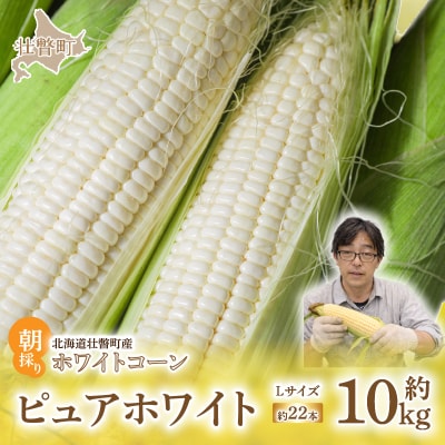 <2026年8月中旬よりお届け>ホワイトコーン『ピュアホワイト』 22本(約10kg)SBTQ002