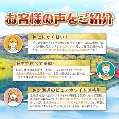 <2026年8月中旬よりお届け>ホワイトコーン『ピュアホワイト』 12本(約5kg) SBTQ003