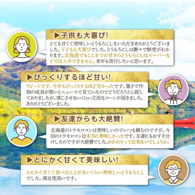 <2026年8月中旬よりお届け>ホワイトコーン『ピュアホワイト』 12本(約5kg) SBTQ003