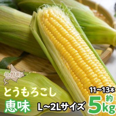 <2026年8月初旬よりお届け>とうもろこし(恵味)約5kg【11～13本】 SBTP002