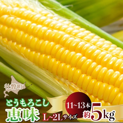 <2026年8月初旬よりお届け>とうもろこし(恵味)約5kg【11～13本】 SBTP002