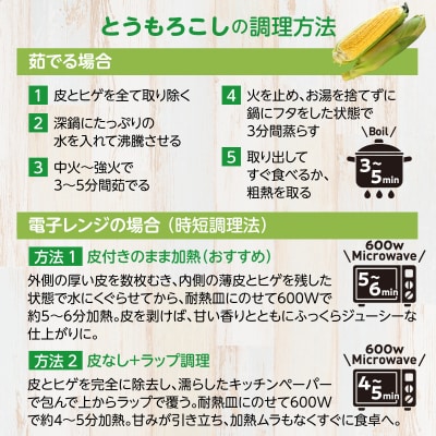 <2026年8月初旬よりお届け>とうもろこし(恵味)約5kg【11～13本】 SBTP002