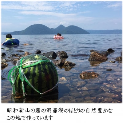 <2026年8月上旬より順次お届け>小玉すいか(赤肉・ピノガール)2玉約3kg SBTN004