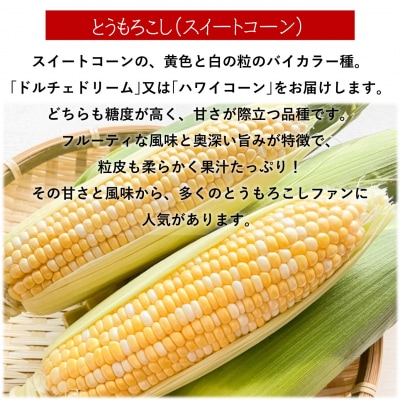 <2026年8月上旬よりお届け>とうもろこし(スイートコーン)13本 約5kg SBTN001