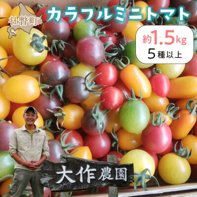 <2025年7月上旬よりお届け>大作農園のカラフルミニトマト約1.5kg(5種以上) SBTR002