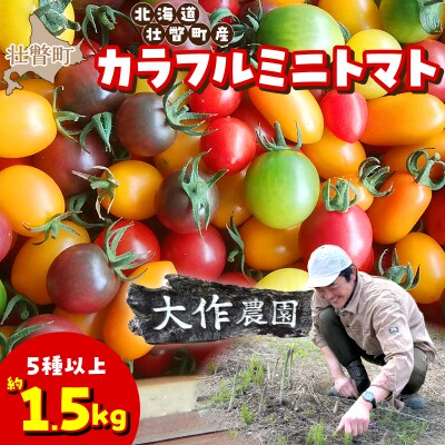 【2027年発送】大作農園のカラフルミニトマト約1.5kg(5種以上) SBTR002