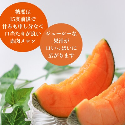 <2026年7月上旬よりお届け>赤肉メロン(北紅クイーン)3玉入り 約5kg以上 SBTP005