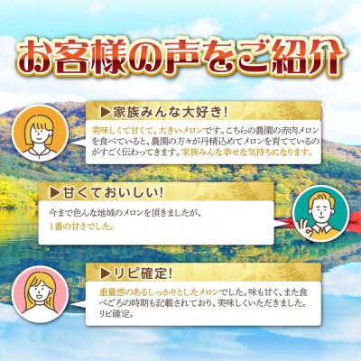 <2026年7月上旬よりお届け>赤肉メロン(北紅クイーン)3玉入り 約5kg以上 SBTP005