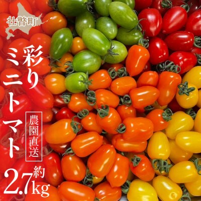 <2026年7月上旬よりお届け>北海道壮瞥産　彩りミニトマト約2.7kg SBTO004
