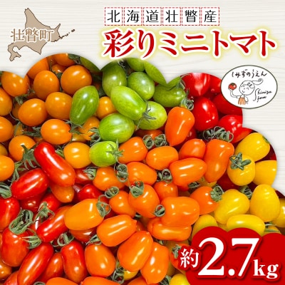 <2026年7月上旬よりお届け>北海道壮瞥産　彩りミニトマト約2.7kg SBTO004