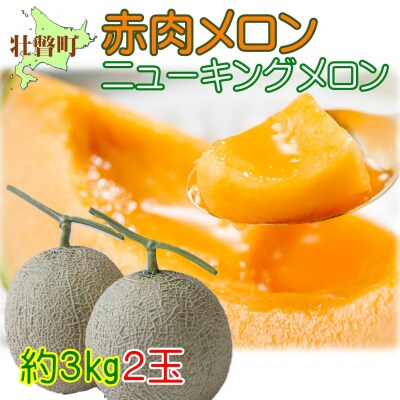 <2026年7月下旬よりお届け>赤肉メロン(ニューキングメロン)2玉 約3kg SBTN003