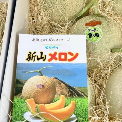 <2026年7月下旬よりお届け>赤肉メロン(ニューキングメロン)2玉 約3kg SBTN003