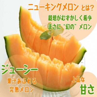 <2026年7月下旬よりお届け>赤肉メロン(ニューキングメロン)2玉 約3kg SBTN003