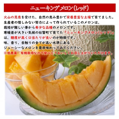 <2026年7月下旬よりお届け>赤肉メロン(ニューキングメロン)2玉 約3kg SBTN003