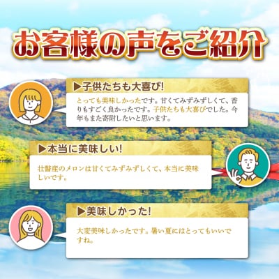 <2026年7月下旬よりお届け>赤肉メロン(ニューキングメロン)2玉 約3kg SBTN003