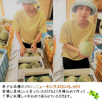 <2026年7月下旬よりお届け>赤肉メロン(ニューキングメロン)2玉 約3kg SBTN003